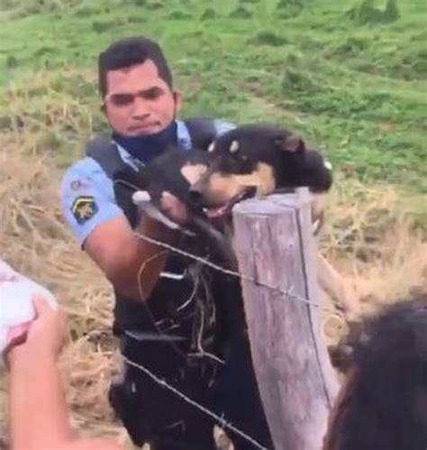 Vídeo cadela é resgatada após ser amarrada e arrastada por motocicleta