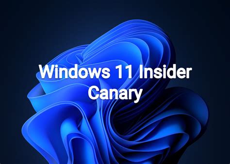 Windows 11 Insider Canary Build 25997 1000 23H2