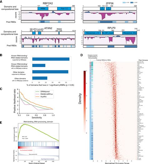 Hydra Deep Learning Models For Predicting Rna Binding Capacity From Protein Interaction