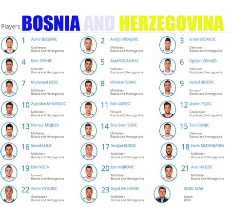 Bosnia And Herzegovina Players World Cup Fifa World Cup Team