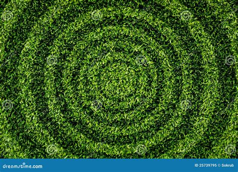 Grass Circular Pattern Royalty Free Stock Photo Image 25739795