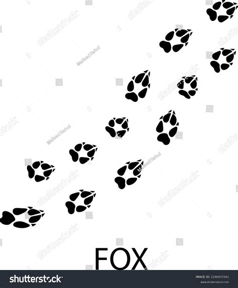 Fox Paw Print Images Browse 3095 Stock Photos And Vectors Free Download