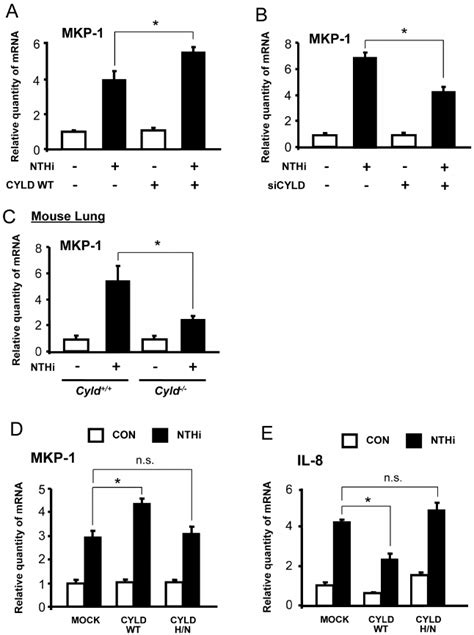 Cyld Is A Positive Regulator Of Nthi Induced Upregulation Of Mkp