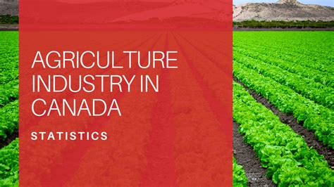 Agriculture Industry Statistics in Canada for 2025 | Made in CA