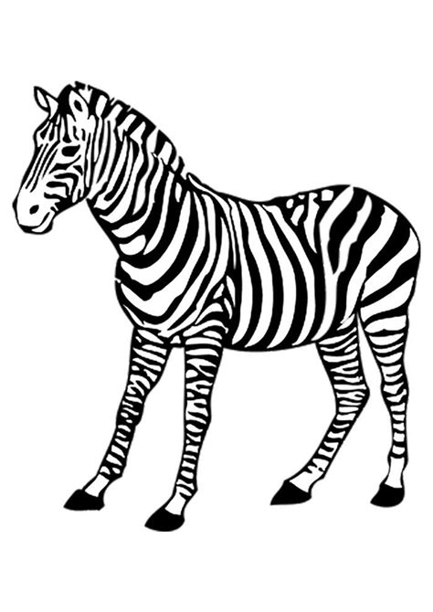 Desenho De Zebra Para Colorir E Pintar Sexiz Pix