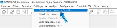 Asignación de rubros NIF a cuentas contables desde el catálogo de cuentas