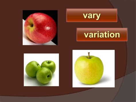 Lesson 11- Wordly Wise | PPTX