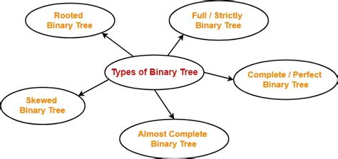 Binary Tree Types