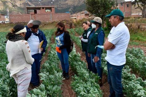 Oficializan Ley que regula el servicio de extensión agropecuaria