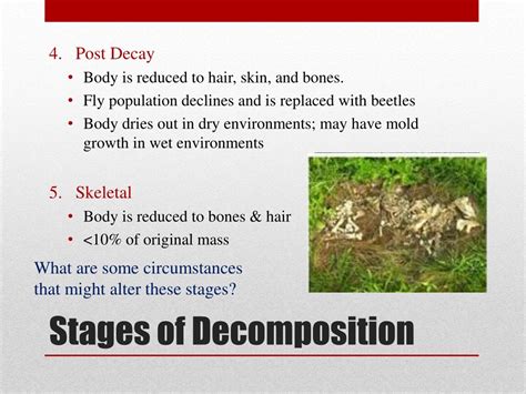 PPT - Body Decomposition PowerPoint Presentation, free download - ID ...