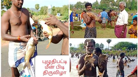 புழுதிபட்டி மீன் பிடி திருவிழா பெரிய கட்லா மீன் Big Katla Rogu Fish