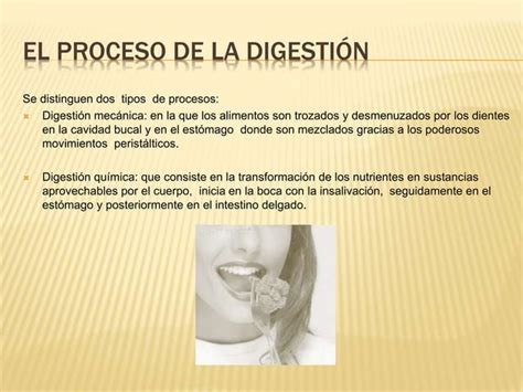 Proceso De La Digestion Ppt