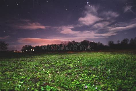 Grass And Night Sky Stock Image Image Of Purple Night 72358455