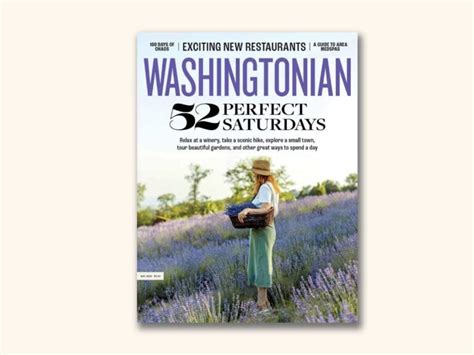 Your Guide To All The Political Sex Scandals Of The Last 24 Hours Washingtonian