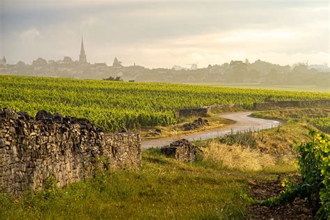 Bourgogne Vignobles Dexception D Couvrir Sur La Route Des Grands