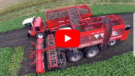 Row Sugarbeet Harvesting Rovers Boekel L Holmer Agrifac Hexx