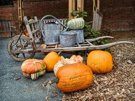 Fall At Filoli - Mike James