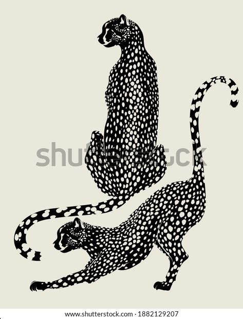 Vector Hand Drawn Minimalistic Illustration Cheetah Stock Vector