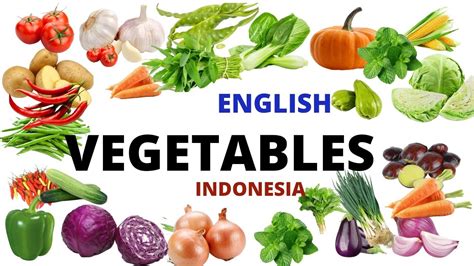 25 NAMA NAMA SAYURAN DALAM BAHASA INGGRIS Sayuran Vegetables YouTube