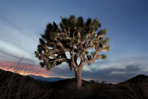 Joshua Tree California Map