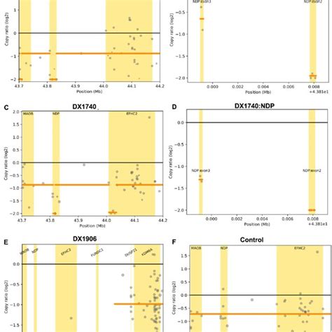 Ndp Copy Number Variations Cnvs Detected By Seqcnv A Ndp Exon