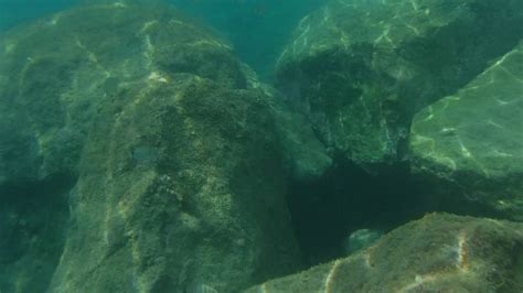 Gran Canaria Snorkeling Playa De Amadores Youtube