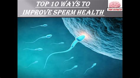 Top 10 Ways To Improve Sperm Health Top 10 Facts Youtube