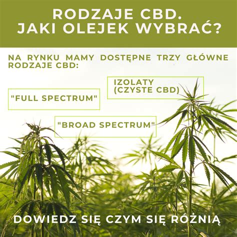 Rodzaje Cbd Jaki Olejek Konopny Wybra Konopna Farmacja