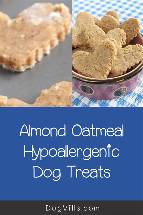 Almond Oatmeal Hypoallergenic Dog Treat - DogVills | Recipe | Healthy ...