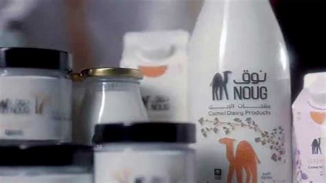 Saudi Arabia: Camel milk set to provide sustenance for Saudi Arabia's ...