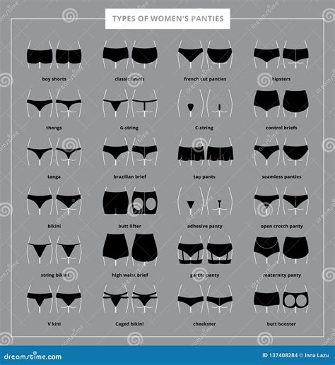 Types De Culottes Femelles Illustration De Vecteur Illustration Du Lingerie