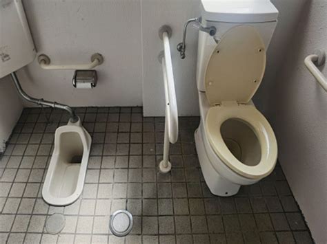 学校のトイレなぜ和式のまま便意我慢し深刻な健康問題にも 2023年2月24日掲載 ライブドアニュース