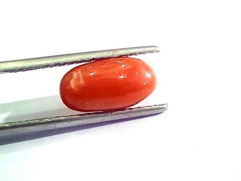 Ct Ratti Natural Italian Red Coral Moonga Gemstone Aa