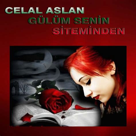 Nedendir M Sica E Letra De Celal Aslan Spotify