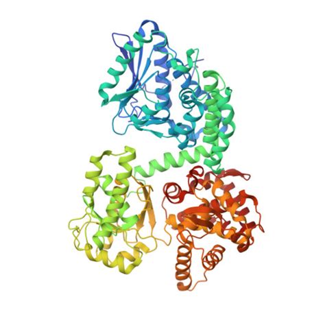 RCSB PDB 8OQN Structure Of Mycobacterium Tuberculosis Beta Oxidation