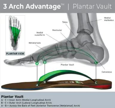 The Kinetic Chain and the Foot-Spine Connection | Foot Levelers