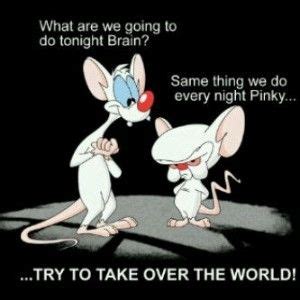 Pinky And The Brain Quotes Quotesgram Funny Animaniacs Funny Memes