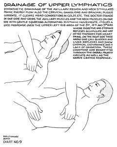 Polarity Therapy Volume Book Chart Polarity Therapy Body