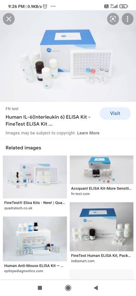 Fn Test Human Il Interleukin Elisa Kit At Rs In New Delhi