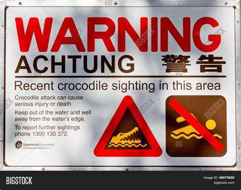 Crocodile Warning Sign Image And Photo Free Trial Bigstock