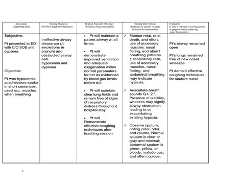 SOLUTION Nursing Care Plan Copd Studypool