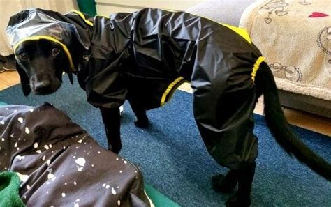 Cute Double Raincoat – Raincoat For Dog And Owner – DogMega.Com