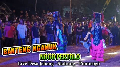 Bantengan Ngamuk Jaranan Nogo Pertolo Live Desa Jebeng Ponorogo Youtube