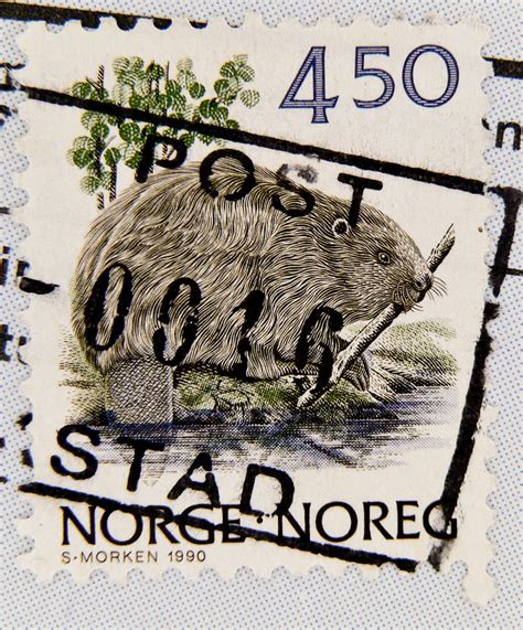 Beautiful Stamp Noreg Norge 4 50 Kr Beaver Francobolli Bol Flickr