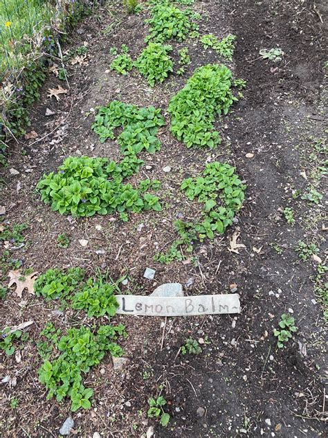 The Rye Historical Society - Home | Facebook