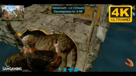 Ark Survival Evolved How To Tame Sabertooth In Ark Mobile Youtube