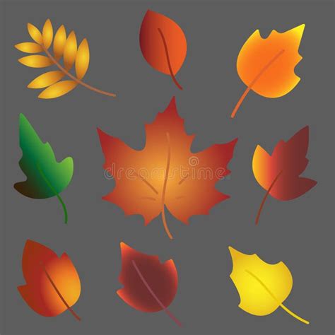 Set Of Different Autumn Leaves Stock Illustration Illustration Of