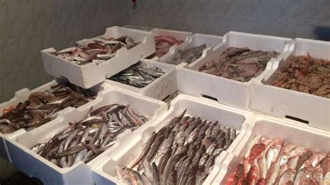 Pescivendolo Ruba Quintali Di Pesce Al Mercato Arrestato