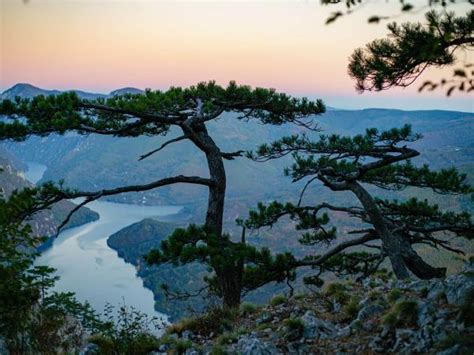 Serbia holidays in 2022 & 2023 | Responsible Travel