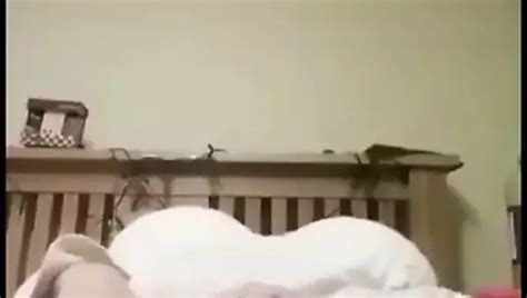 Free Wales Porn Videos 2 XHamster